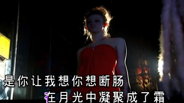 叶贝文 - 走天涯 (KTV版)