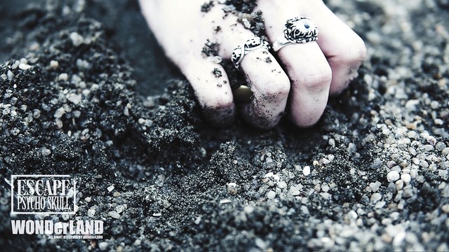 PSYCHO SKULL 疯髅 - 逃