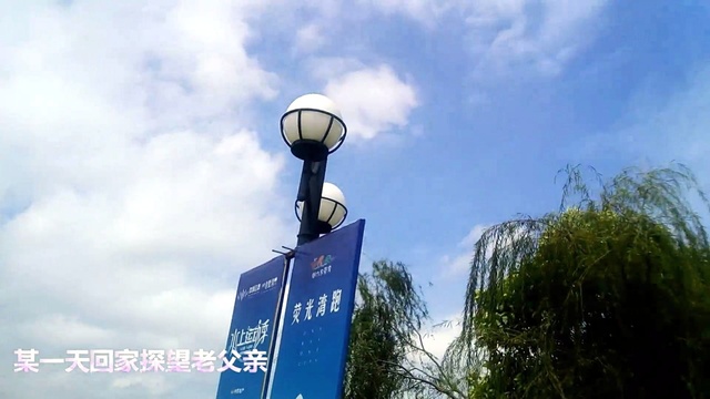 王小蠡 - 恨晚终成泪