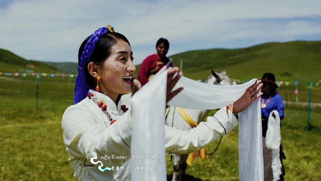 仲白 - 我的故乡