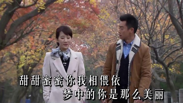 杨小琴 - 日有所思夜有所梦