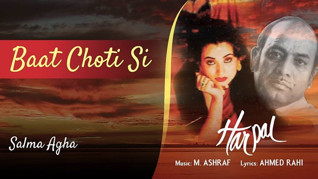 Salma Agha - Baat Choti Si (音频版)
