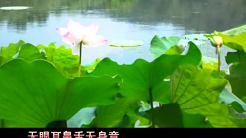 湘佛莲 - 心经 (KTV版)