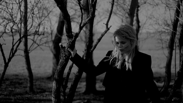 The Common Linnets - Calm After The Storm