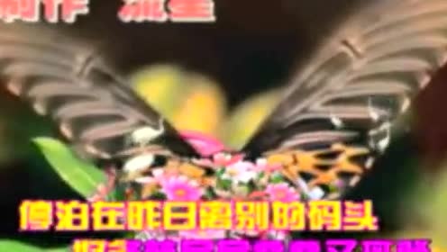 刘紫玲 - 珍惜 (KTV版)