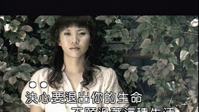 苏路 - 为你心醉为你痛 (KTV版)