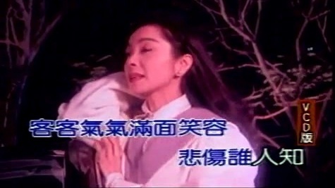 陈美凤 - 花花世界(台) (KTV版)