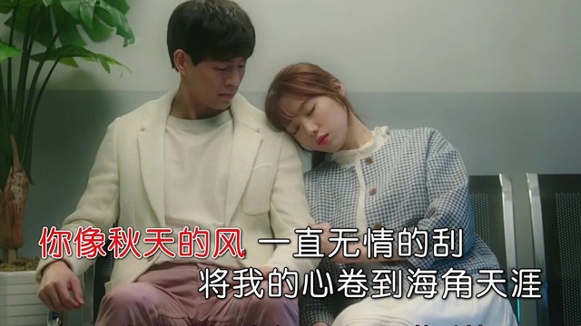 蝶儿 - 我们活得潇潇洒洒 (KTV版)