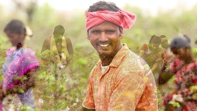 D. Imman - Kaattu Karuvamulla (音频版)