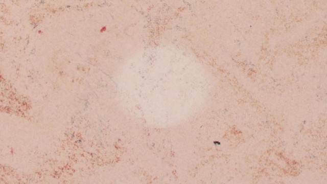 Zeze Wakamatsu - Decay is the new fade