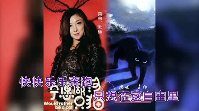 孟杨 - 宁愿做只猫