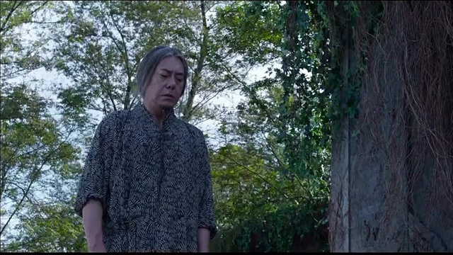 刘亦菲 - 放下 (电影《四大名捕2》主题曲)