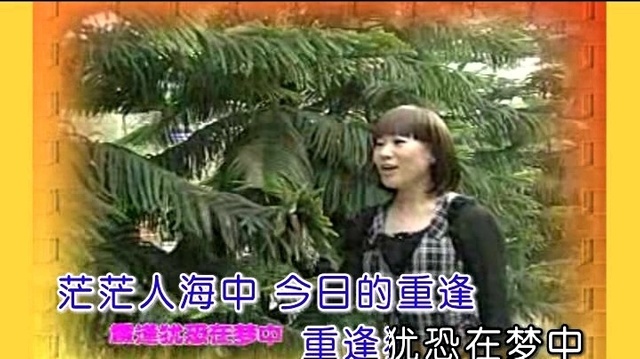 瑞雪 - 当年情 (KTV版)