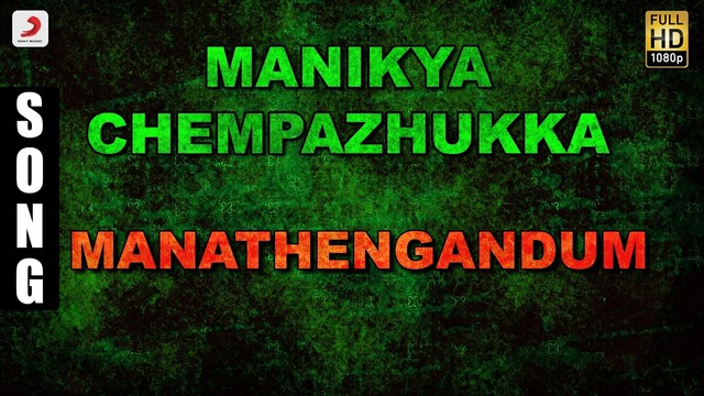 C. Rajamani - Manathengandum (音频版)