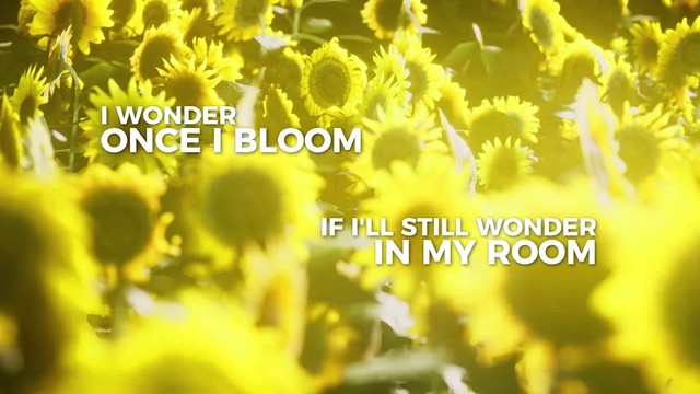 Lost Boy - Insecure (歌词版)