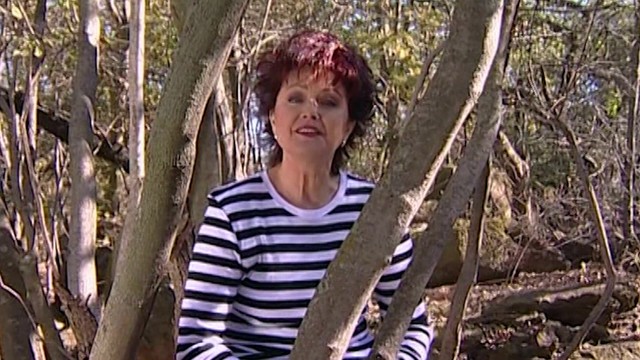 Carike Keuzenkamp - Zebra