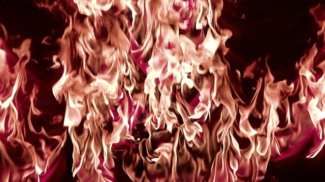 While She Sleeps - New World Torture