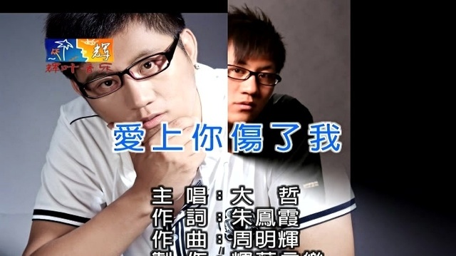 大哲 - 爱上你伤了我 (KTV版)