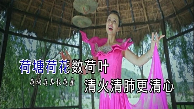 段宛彤 - 荷美 (KTV版)