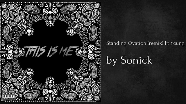 유소닉 - Standing Ovation (remix) (音频版)