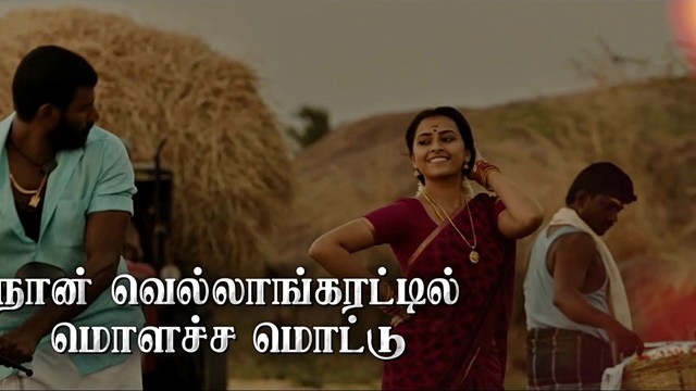 Vandana Srinivasan - Karuvakaatu Karuvaaya (歌词版)