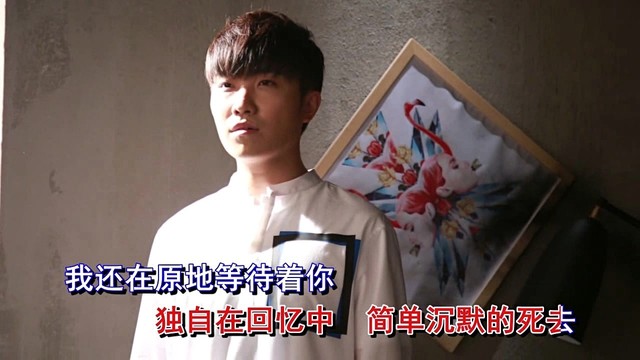 徐良 - 在回忆中死去 (KTV版)