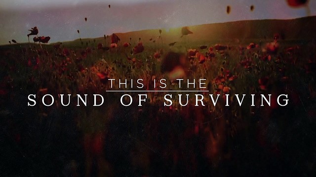 Nichole Nordeman - Sound Of Surviving (歌词版)