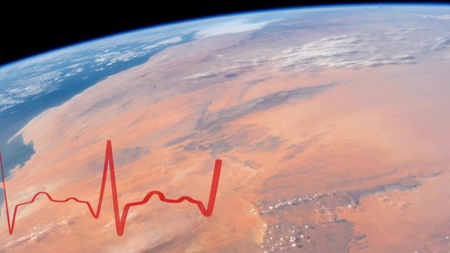 Pete Wolf Band - 2084 The World Is A Different Place