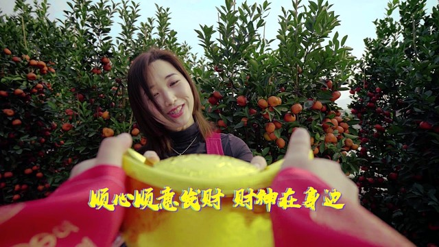 宁王 - 贺岁阳春