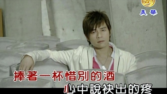 张瀛仁 - 你是我的一半 (KTV版)