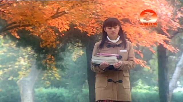 张亦江 - 一场游戏一场梦 (KTV版)