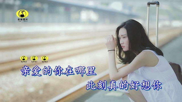 贾烈 - 忘不了的爱