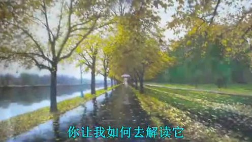 张迎丹 - 爱情木马