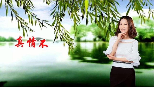 刘春 - 真情不怕爱迟来 (KTV版)