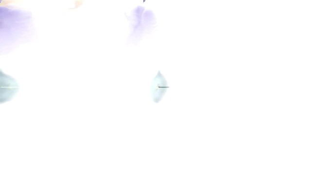 長谷川白紙 - シー・チェンジ