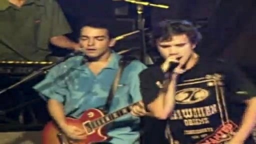 Planta E Raiz - Te Ver