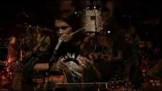 Lovebugs - Everybody Knows I Love You