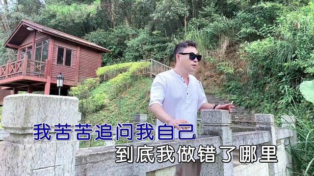 张晓飞 - 谢谢你陪我这一程 (KTV版)