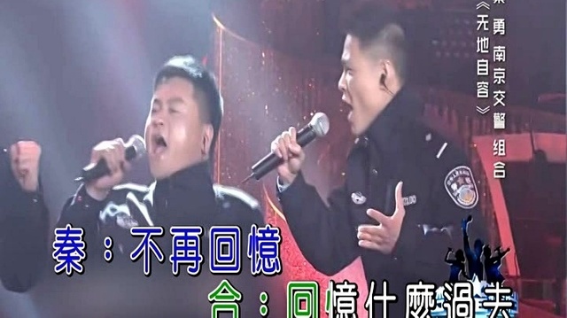 秦勇 - 无地自容 (KTV版)