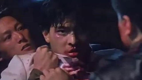 袁凤瑛 - 青春无悔 (《天若有情之追梦人》电影主题曲)