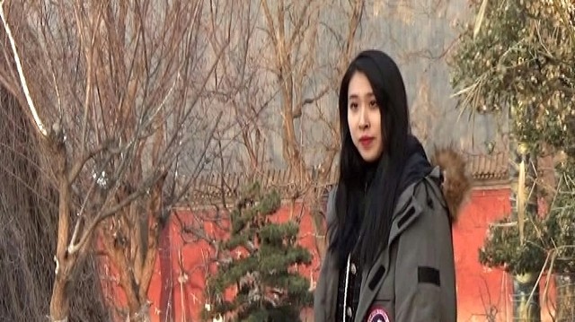 金生 - 红尘蝶缘