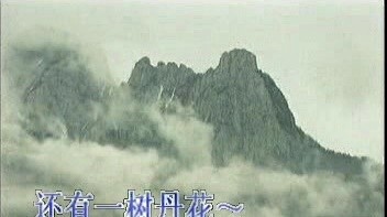 金永哲 - 月光泪 (KTV版)