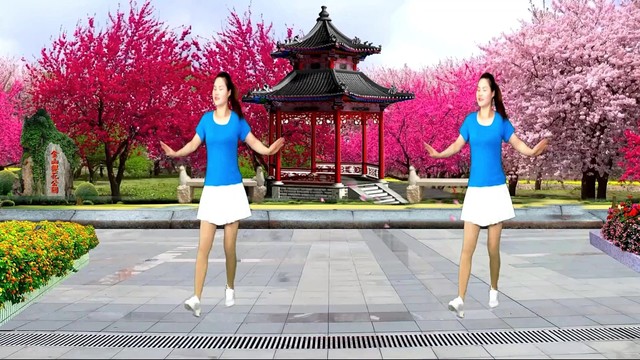 广场舞 - 情歌广场舞《谁家内小谁》咱们两个情投意合，永远的一对！ (广场舞)