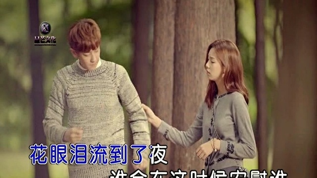 李雨伦 - 花眼泪 (KTV版)
