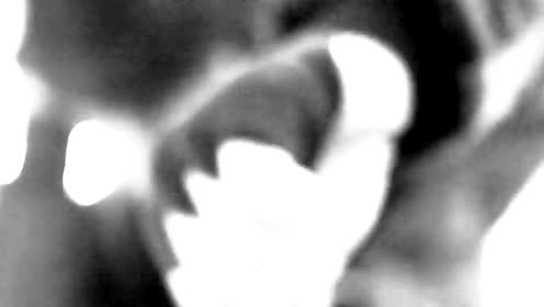 김바다 - Moonage Dream (预告版2)