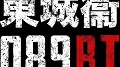 东城卫 - 089BI (音频版) (《终极三国2017》电视剧主题曲)