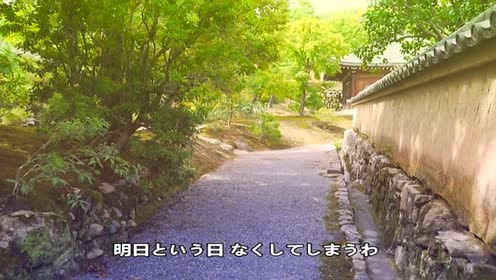 模仿翻唱 - 【木龙翻唱】邓丽君-我只在乎你日文版 (饭制版)