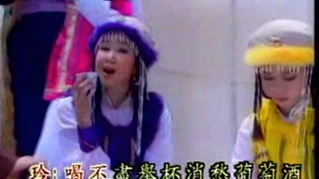 蔡可荔 - 大漠风沙 (KTV版)