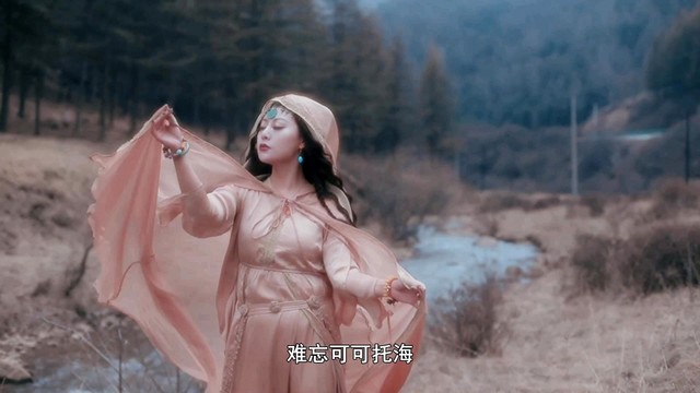 楚桐笛笛 - 伊犁花海的养蜂女 (柔情版)