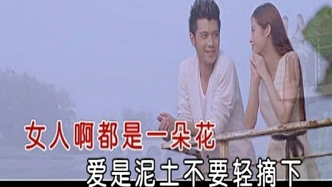 陈瑞 - 新女人花 (KTV版)